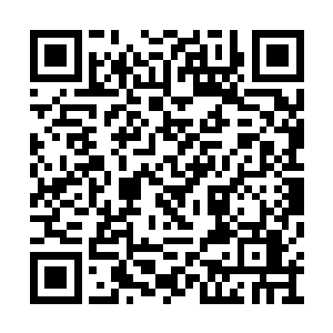 小家伙滴溜溜的眼珠子在所有的果子里转了一圈二维码生成