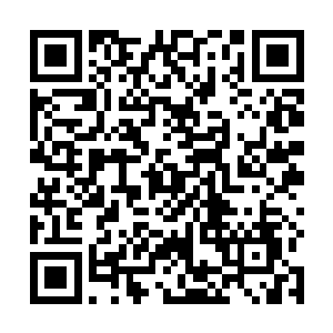 小家伙都会用小脚丫和小拳头准确的把韩月瑶的手弹开二维码生成