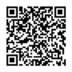 小寇所夺舍的那个生物兵器身上也开始浮现出一道道伤势二维码生成