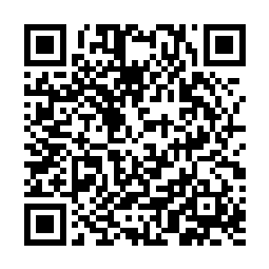 小寇所操控的生物兵器也跟他面前这个生物兵器以硬碰硬二维码生成