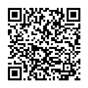 小导游张了张嘴才想起来自己忘记问对方叫什么了二维码生成