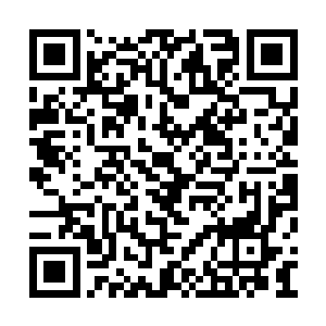 小小年纪却犹如修罗地狱里出来的厉鬼一般骇人二维码生成