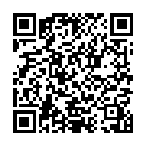 小小年龄的我不知道奶奶所言的继承其衣钵是怎么个意思二维码生成