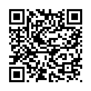 小小的人儿就穿起牡丹花的纱衣来二维码生成