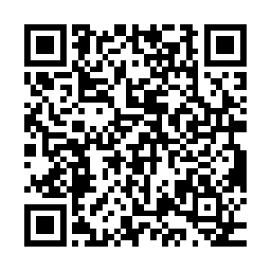 小小的圣域巅峰初期只能眼睁睁的看着自己的躯体被燃烧成灰烬二维码生成