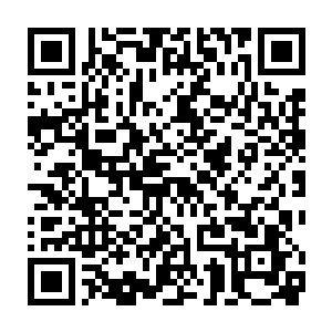 小小的身影越发让她觉得有一种叫做落寞的情绪在他的周身围绕着二维码生成