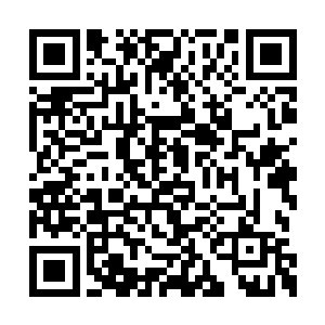 小少爷此刻的症状同我师兄在信中所言极其相似二维码生成