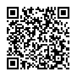 小巧一点的几人就很自觉地扑在了林烽的怀抱里二维码生成