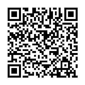 小巧依人的沈佳佳也感觉到气氛变的与以往不同二维码生成
