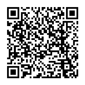小平部长的意思是因为拓扑集团这个软件园项目会给市里带来巨大的潜在效益二维码生成