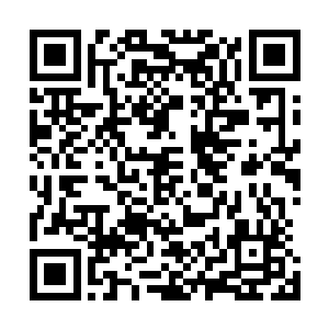 小年总取笑他见了任何一个有胸脯有屁股的女子就饿虎扑食二维码生成