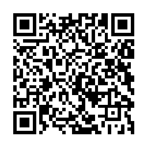 小年糕口中的军子哥和涛涛就是他在军区大院新认识的小伙伴二维码生成