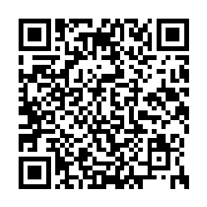 小幼崽用你好烦打搅我吃饭的目光瞪了苏落一眼二维码生成