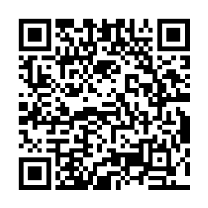 小幼崽用看傻瓜的目光看着兴奋的几乎要手舞足蹈的三长老二维码生成