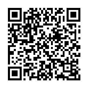 小幼崽用看白痴的目光看着他眼中愚蠢的三长老二维码生成