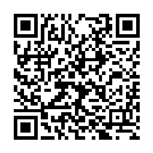 小幼崽顿时把这群神经病师兄弟丢到九霄云外去了二维码生成