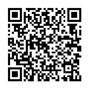 小广场前面的那块液晶屏上还放着林可儿的照片二维码生成