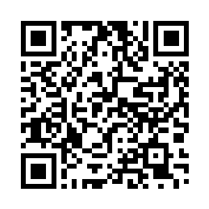 小弟恢弘地产公司的法人代表陈光辉二维码生成