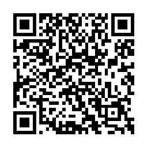 小弟真不知这些人冒犯的是程……程知府一家人二维码生成