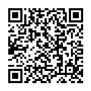 小张确实是是在叶秋等人来到警卫室之后才要醒来的二维码生成