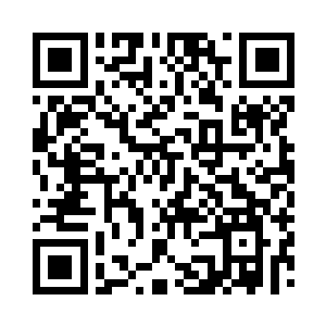 小心的把自己的小包包叠在巴克的背包上二维码生成