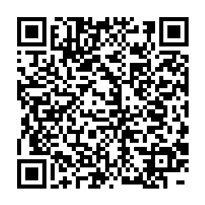 小心的瞄了瞄还在朝他挤眼却不再朝那些冰冷菜下手的师叔和小白二维码生成
