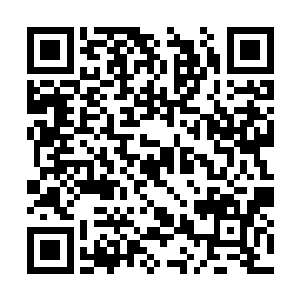 小心翼翼地在其中一个小保安身上打了那么一下下二维码生成