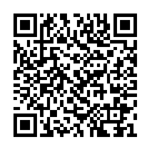 小心翼翼地将这根刺藏到了送四叔出门的那一天二维码生成