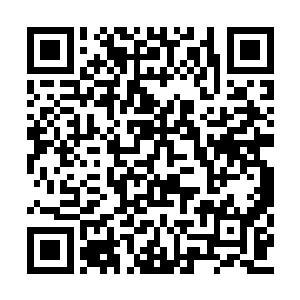 小心翼翼的将皇血草挖出来快速的放入乾坤戒中二维码生成