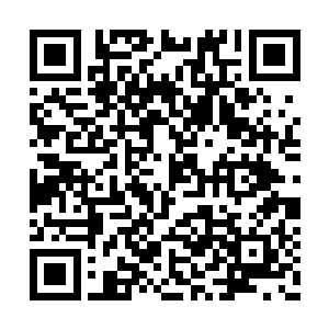 小心翼翼的把手里已经基本成型的木块放在胸口二维码生成