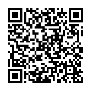 小怪鱼鲲的庞大身影已经从吴岩的眼前消失不见二维码生成