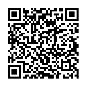 小怪鱼鲲终于停下了向储物戒指中吐出月魂石的动作二维码生成