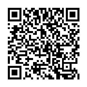 小惠肯定比我还早知道尸王其实就是龙且龙大哥二维码生成