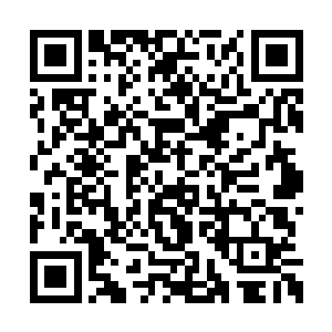 小憨最后朝着满是大坑一片狼藉的地面轰出一拳二维码生成