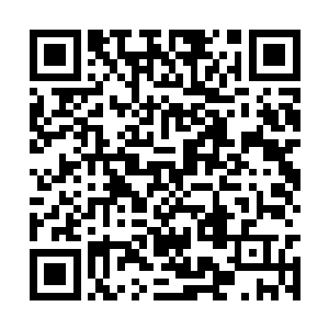 小手甚至还有些羞涩的在天道的手心里微微的揉搓二维码生成