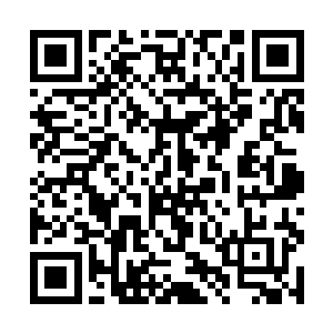 小摇床里面的阿宝和小摇床外面的阿财都看直了眼睛二维码生成