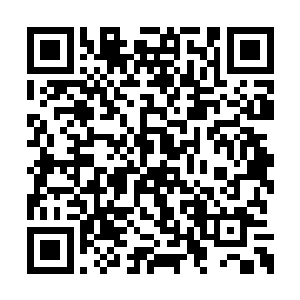 小时候他和母亲及浩然没少在这些刁奴手上吃亏二维码生成