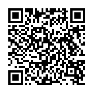 小时候朵朵爷爷就经常给朵朵灌输这方面的知识二维码生成