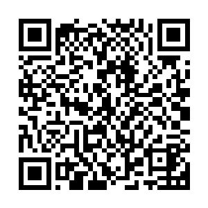 小明和文文分别端坐在一张由无数晶脑和晶缆凝聚成的控制椅上二维码生成