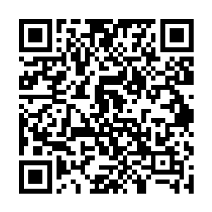 小明和文文将他们掌握的所有战斗傀儡统统投放出去二维码生成