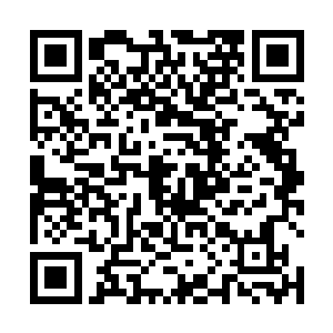 小明已经成为整个极天界战略防御体系中极重要的一环二维码生成