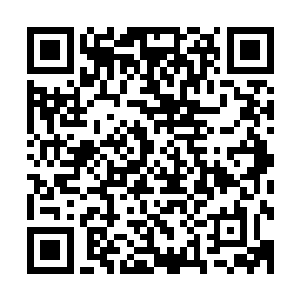 小晟晟以往一直在屋子里等着他一起吃饭一起去看宝儿舅舅的二维码生成