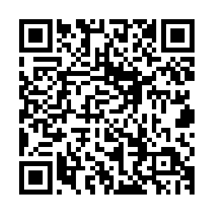 小木村中那唯一的一名半皇强者盯着对面一骑着一头猛虎的武者二维码生成