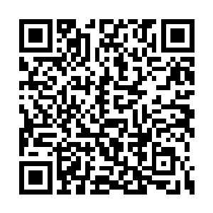 小杰布看着醒心抓着宴西的手似乎还在欣赏戒指二维码生成