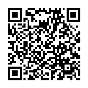 小杰布被冠玉爷爷领着从小就学工功夫强身健体二维码生成