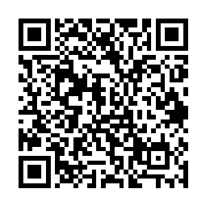 小松鼠之所以一见到人就发疯的攻击一来是因为害怕二维码生成