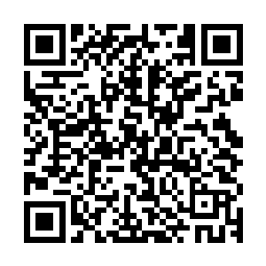 小树上挂着的那颗魂劫果一下子让张铁把询问的目光投向了海勒二维码生成