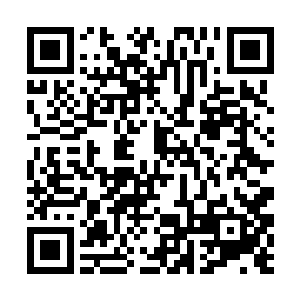 小树上还挂着一颗看起来同样散发着一层豪光的果子二维码生成