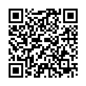 小树的一片枝芽微不可察的轻轻抖了抖二维码生成