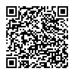 小树苗也不知道生命能量和进化之力加上元素之力混合在一起后能做到什么二维码生成